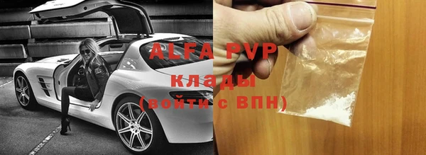 индика Алексин
