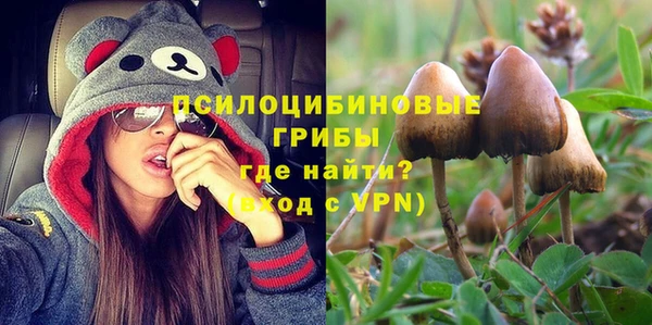 индика Алексин