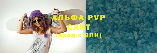 индика Алексин