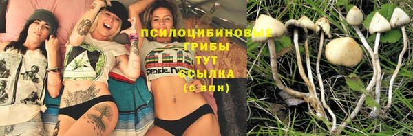 таблы Алексеевка