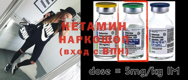 индика Алексин